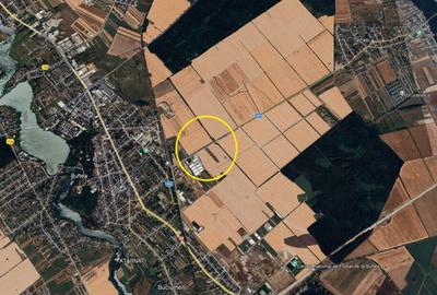 Teren Buftea cu deschidere la drumul judetean langa noua centura a orasului - 1