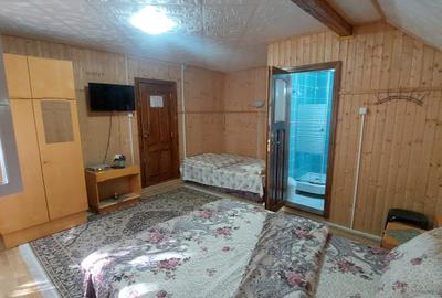 Pensiune turistică de vânzare în Lepșa – o oportunitate unică de afacere - 9