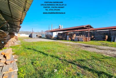 Complex imobiliar format din cladiri si constructii industriale+teren intravilan - 8