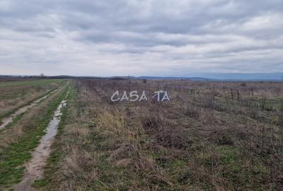 Teren Extravilan (5900 mp),situat in Targu-Jiu, Preajba-Dragoieni - 4