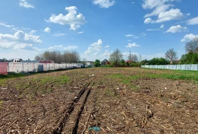 De vanzare teren pentru hala, 4200 mp- str. Baneasa - 1