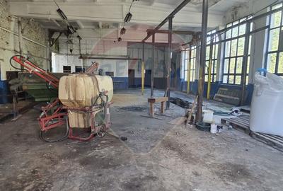 Spațiu industrial 15435 mp. de vânzare in Tinca. - 11