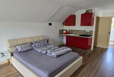 Casa de Vacanta la Munte - Dorna Arini! Vatra Dornei!! De Vanzare! 0727817187 - 16
