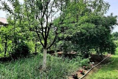 Casă 200mp + teren 2745mp la 30km Bucuresti - preț ajustat pentru vânzare rapidă - 13