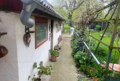 Casa 4 camere  Ghimbav - 14