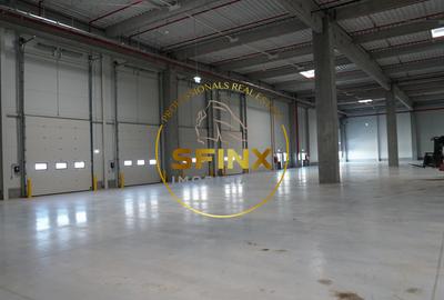 Spatiu industrial, clasa A, zona centura nord, Stefanesti - Afumati - 5