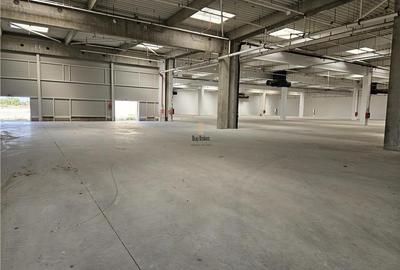 Spatiu Industrial - 9500 mp - Logistica - Productie - Depozitare - Distributie - 15