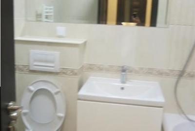 Apartament 1 camera Bucium Complex Cris Estat + Loc parcare!!! - 14