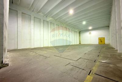 Spațiu industrial de vânzare în Aradul Nou / Arad - 8