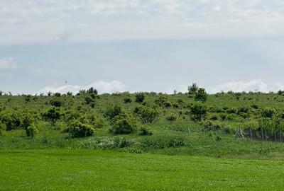 Teren Extravilan de Vanzare, zona Episcopia, Oradea, judetul Bihor - 5