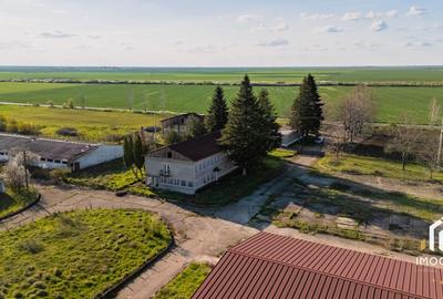 De vanzare Complex Zootehnic Suine Jud. Arad SU 15.30ha, Ferma, Grajd - 8
