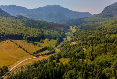 Teren 20000 mp, sat Dalghiu, com Vama Buzaului - 9