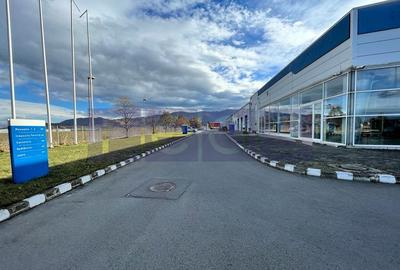 BRASOV-GHIMBAV | INCHIRIERE HALA +SHOWROOM | 6500 MP CONSTRUITI - 5