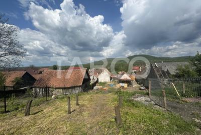 Casa de vanzare 2 camere 61 mpu teren liber 974 mp Venetia de Sus - 4