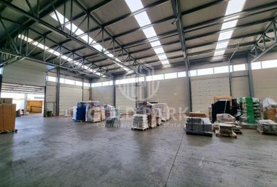 Hala/Depozit-Zona Autostrazii-Curte Betonata/Rampa-350-660-900 mp - 12