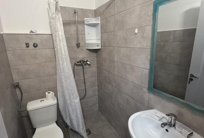 Garsonieră renovată, zona Insula - 5