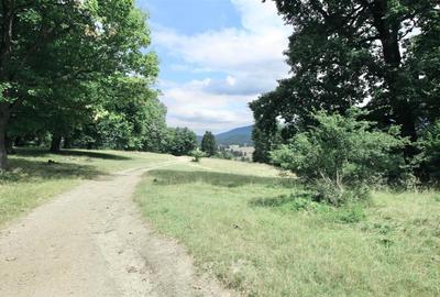 Teren de vanzare 4713 mp investitie | Poiana Brasov - 9