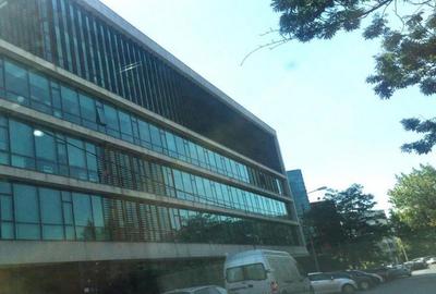 Spatii birouri de inchiriat zona Herastrau, Bucuresti - 2