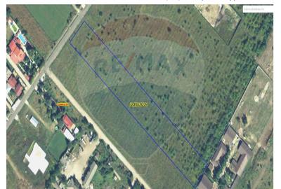 Teren intravilan 10,000mp Domnesti / Soseaua Curtea Domneasca - 1
