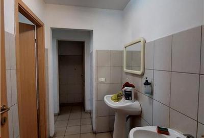 3 hale de inchiriat in Micalaca - 18