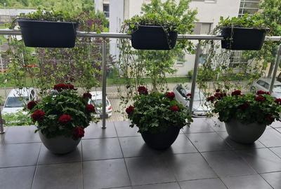Baneasa-Felicty Resident-lux - 18