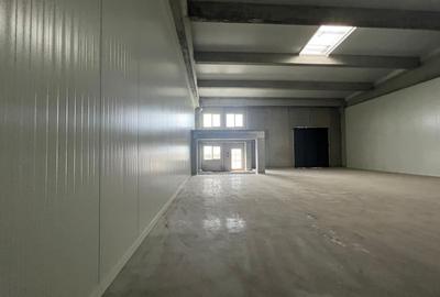 Hala depozitare  zona de N - 1