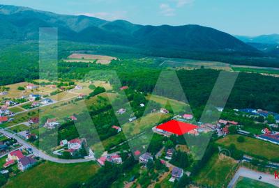 Teren intravilan 2000 mp - Tocile, vedere panoramică spre munte și pădure - 4