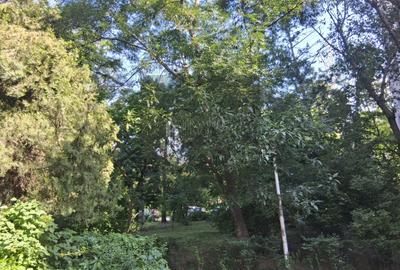 OCAZIE Apartament 3 camere Drumul Taberei 4 min de metrou - 4