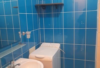 DOROBANTI ,IANCU DE HUNEDOARA GARSONIERA  PET FRIENDLY INCHIRIERE - 10