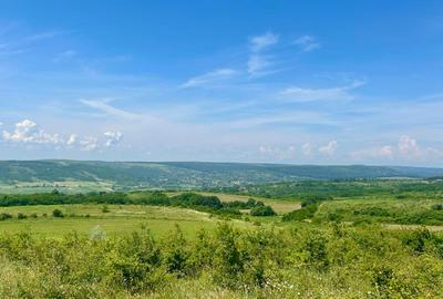 Teren 3600 mp extravilan Dobrovăț, Iași - 1.6 euro/mp, Negociabil, Priveliște Panoramică - 1