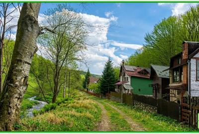 Teren forestier compact, 39,42 ha, Cheia – Măneciu, ECX30374 - 4