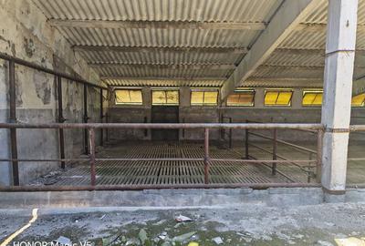 Spațiu industrial -fermă Orțișoara - 5