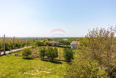Teren 1.018 la 15 min de Ploiești | premium | zona dealuri - 1