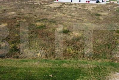Teren Construcții intravilan de 11600 mp, în Remetea Mare