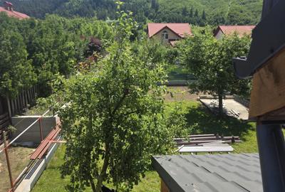 Inchiriez casa noua Bunloc Sacele -Timisul de Jos pet friendly talie mica - 9