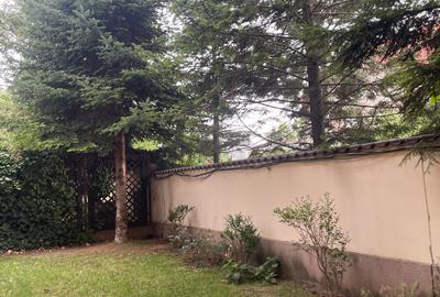 Iancu Nicolae 6 bedrooms villa - 6