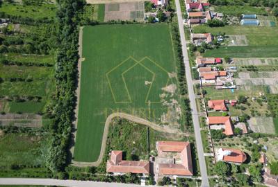 Casa cu istorie, teren de aproape 2 hectare si potențial rar | Petrovaselo - 18