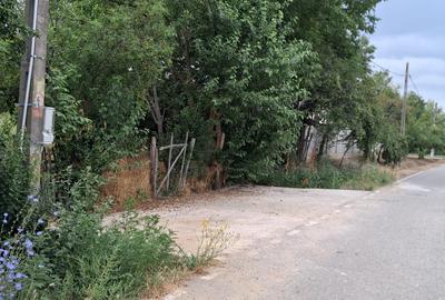 Teren Intravilan  in Tismana (Comuna Devesel), la 200 ml de Dunare - 5