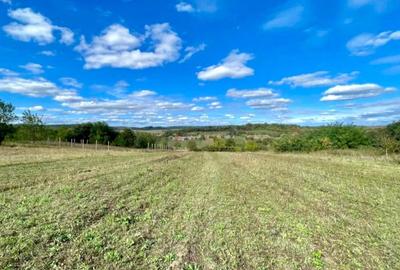 TEREN INTRAVILAN 5.995 MP | COMUNA SUMUGIU | BIHOR - 3