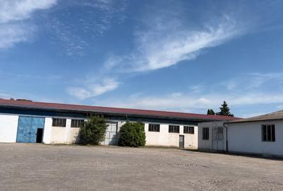 Spațiu industrial, de 400.00 mp, în Ampoi 3