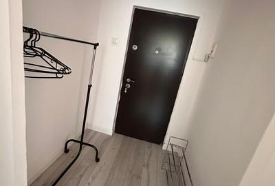 Inchiriere Apartament 2 camere Drumul Taberei-Bld.Timisoara - 14