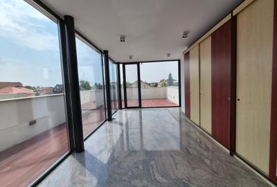 Inchiriere vila moderna Iancu Nicolae - 39