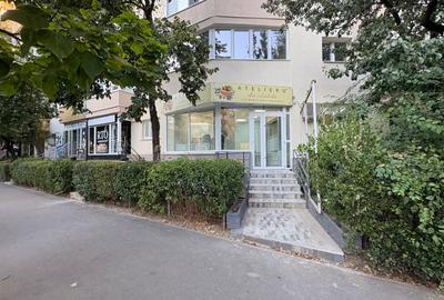 Spațiu comercial stradal, 60 mp — Bd. Chișinău, aproape de Bd. Basarabia - 10