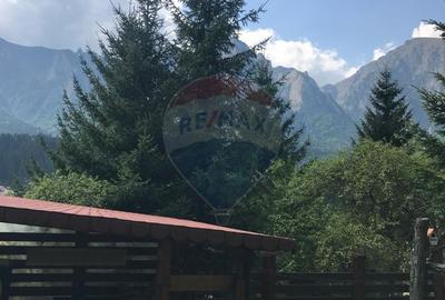 Casă cu poveste în Zamora, Bușteni - 1