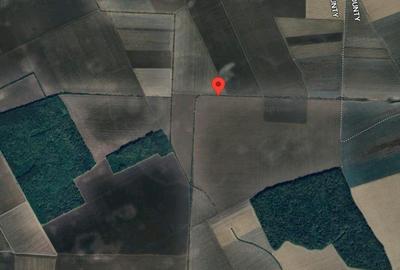 Teren agricol extravilan de 9200 mp, în Grădiștea