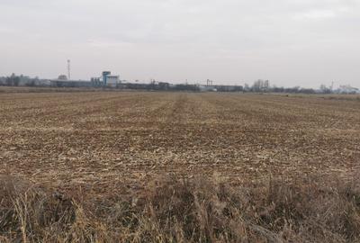 Teren Exclusiv 4.550 mp Ciolpani - Zona Narrative / Pădurea Snagov - 1