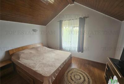 Casa de vacanta in Delta Neajlovului - 11