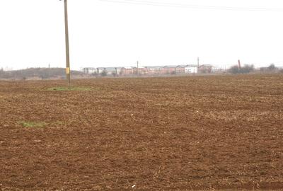OTOPENI - Str. Drumul Garii Balotesti, 42100 mp. teren intravilan - 5