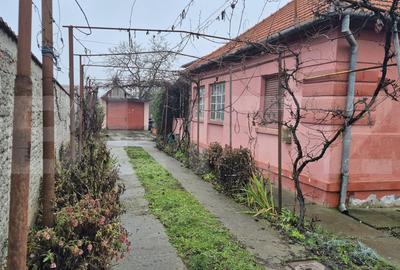 Casă individuală cu 7 camere în Careiului