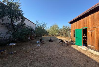 Casa singur in curte - 1063 mp teren - Selimbar - 3